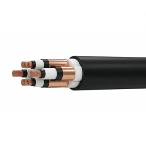 Power Cable